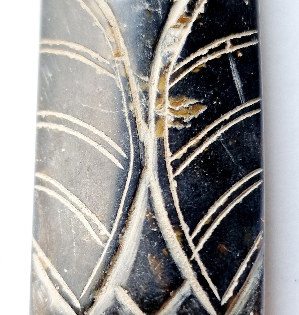 巴克特里亚 黑色的石头 蝉珠护身符 - 59 mm #2.1