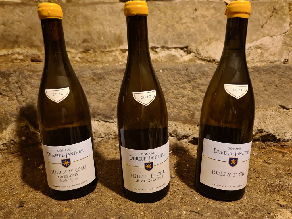 2020 Dureuil-Janthial "Meix Cadot", "Grésigny Vieilles Vignes" & 2021 1° Cru - Rully 1er Cru - 3 Bottles (0.75L) #1.1