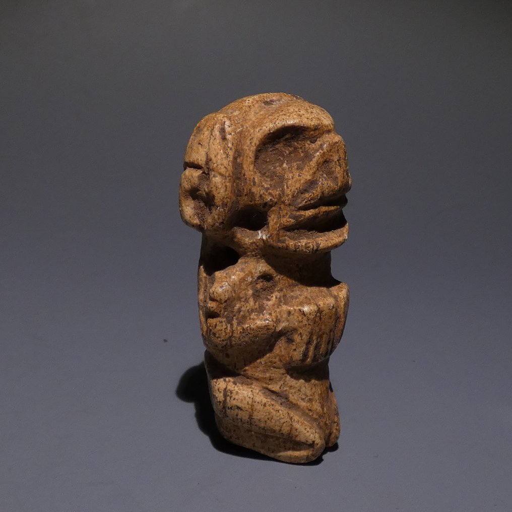 Taino, Caribe Knogle Kranie-amulet. 6,5 cm H. meget fin. 800 - 1400 e.Kr. Spansk importlicens. #2.1
