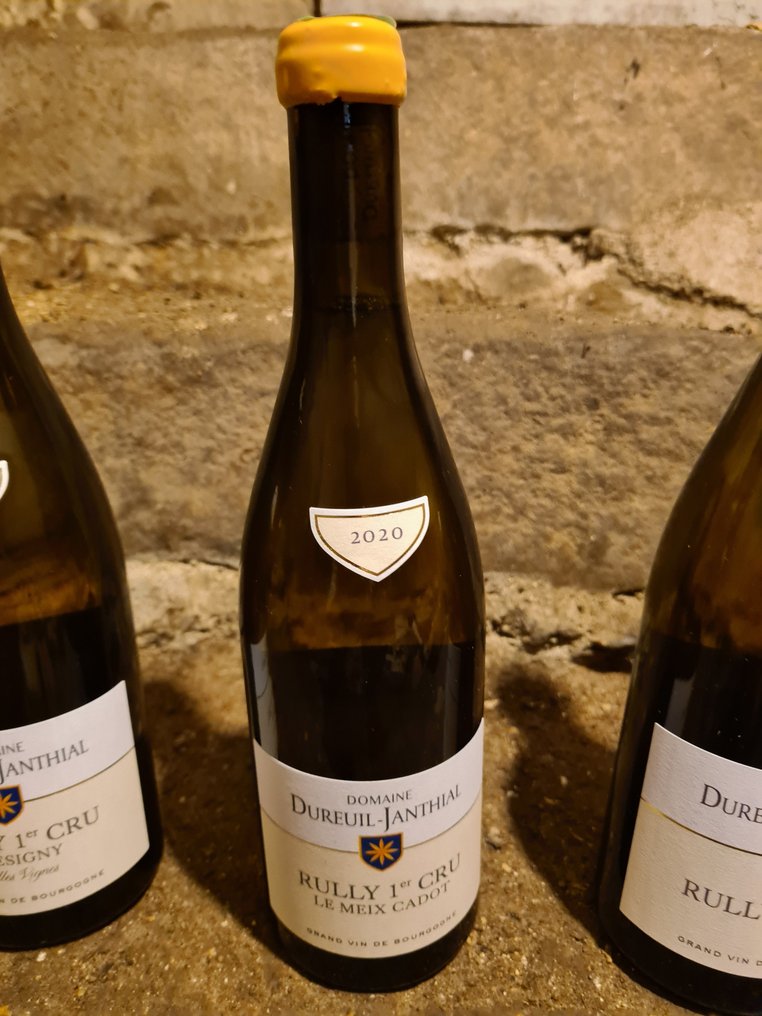 2020 Dureuil-Janthial "Meix Cadot", "Grésigny Vieilles Vignes" & 2021 1° Cru - Rully 1er Cru - 3 Bottles (0.75L) #2.2