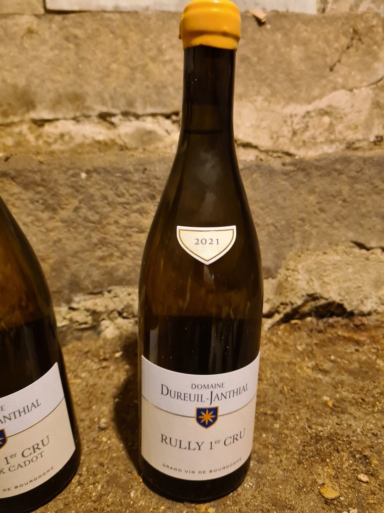 2020 Dureuil-Janthial "Meix Cadot", "Grésigny Vieilles Vignes" & 2021 1° Cru - Rully 1er Cru - 3 Bottles (0.75L) #3.1