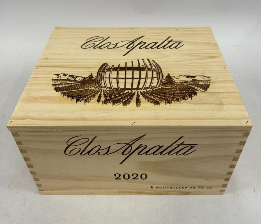 2020 Clos Apalta - Colchagua Valley - 6 Bottles (0.75L) #1.1