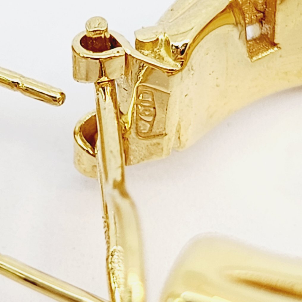 Oorbellen - 18 karaat Geel goud #4.3