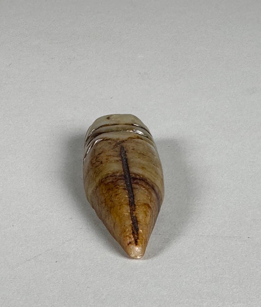 A fine nephrite ornament - jade - Chine - Dynastie Qing (1644–1911) #2.1