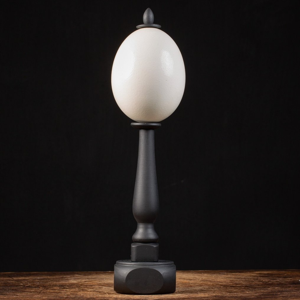 Ostrich Egg - Dark Wood Handmade Basement - Uovo - Strutio Camelus - 448 mm - 118 mm - 118 mm #1.2