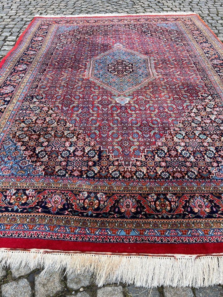 Bidjar - 地毯 - 289 cm - 205 cm #1.1