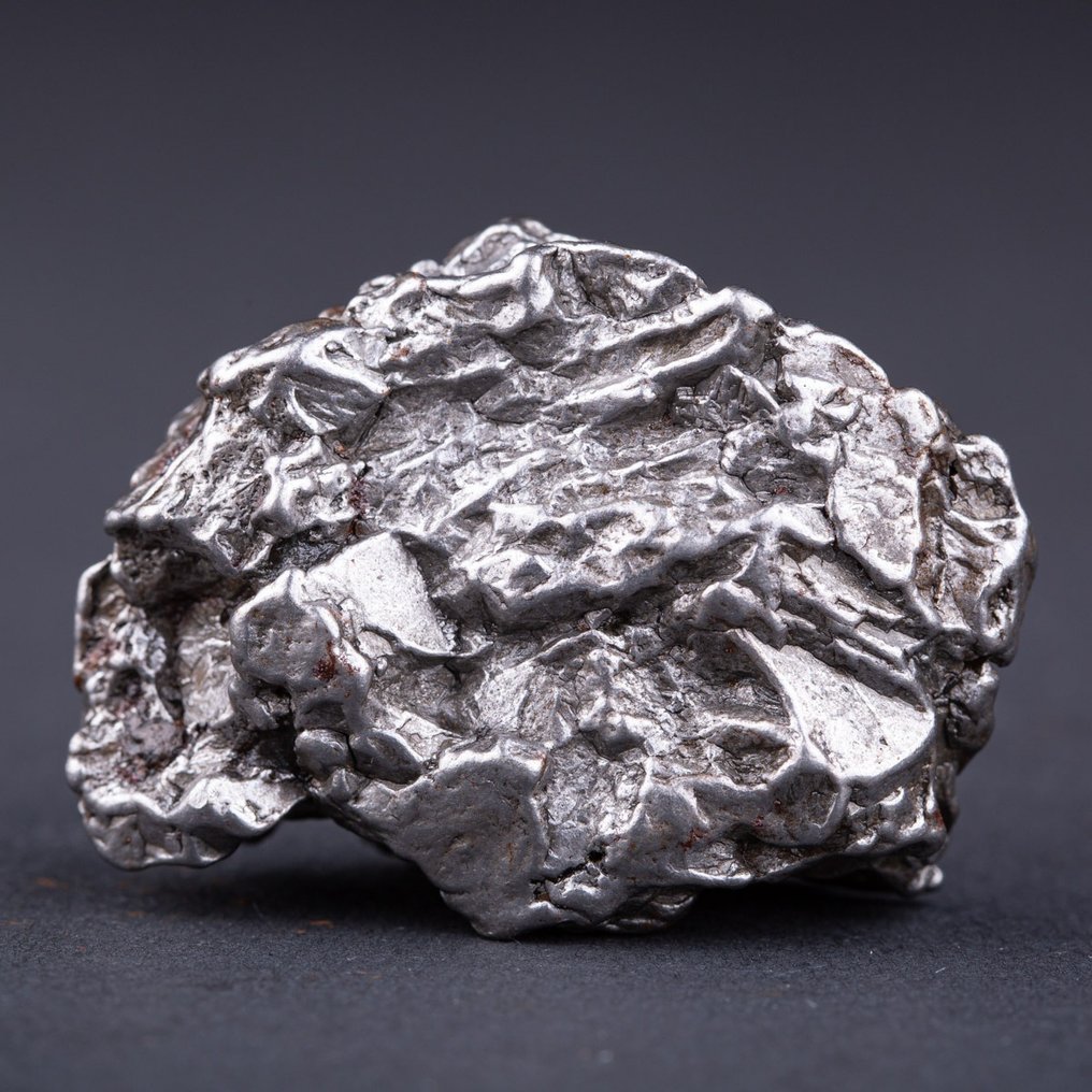 Meteoritt Campo del Cielo. kjernen til en asteroide - Høyde: 47 mm - Bredde: 31 mm - 98 g #2.1