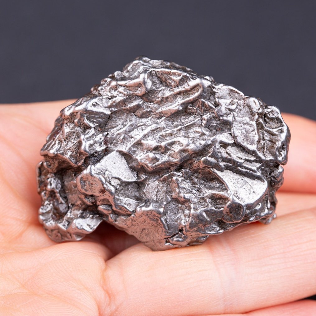 Meteoritt Campo del Cielo. kjernen til en asteroide - Høyde: 47 mm - Bredde: 31 mm - 98 g #1.2