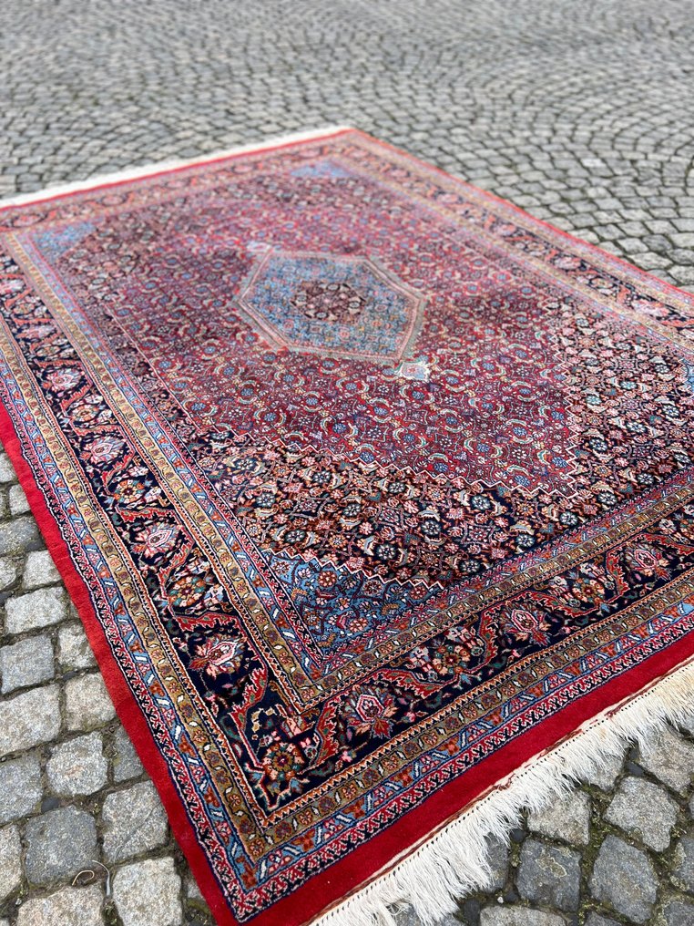 Bidjar - 地毯 - 289 cm - 205 cm #1.2