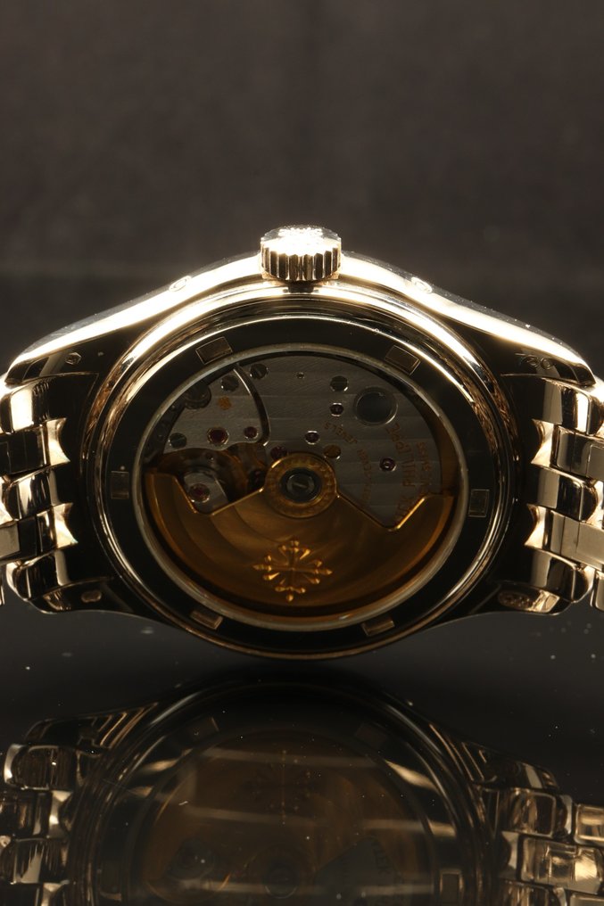 Patek Philippe - Annual Calendar - 5036G-001 - Miehet - 2000-2010 #4.3