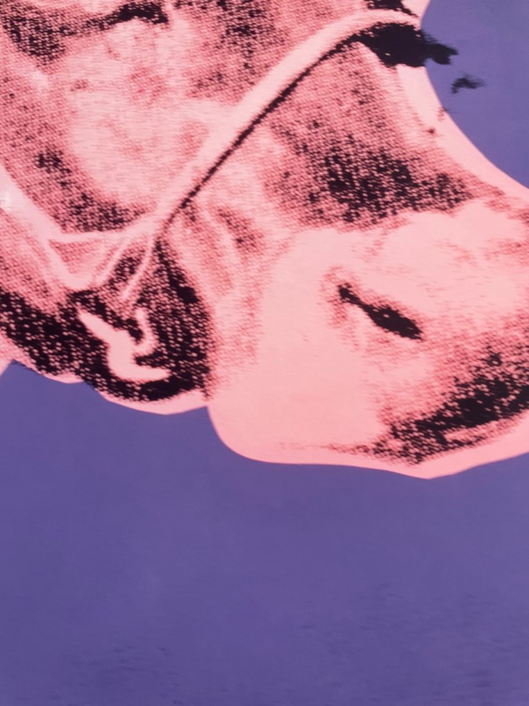 Andy Warhol (after) - Cow, 1976 (pink & purple), Copyright 2013 #4.3