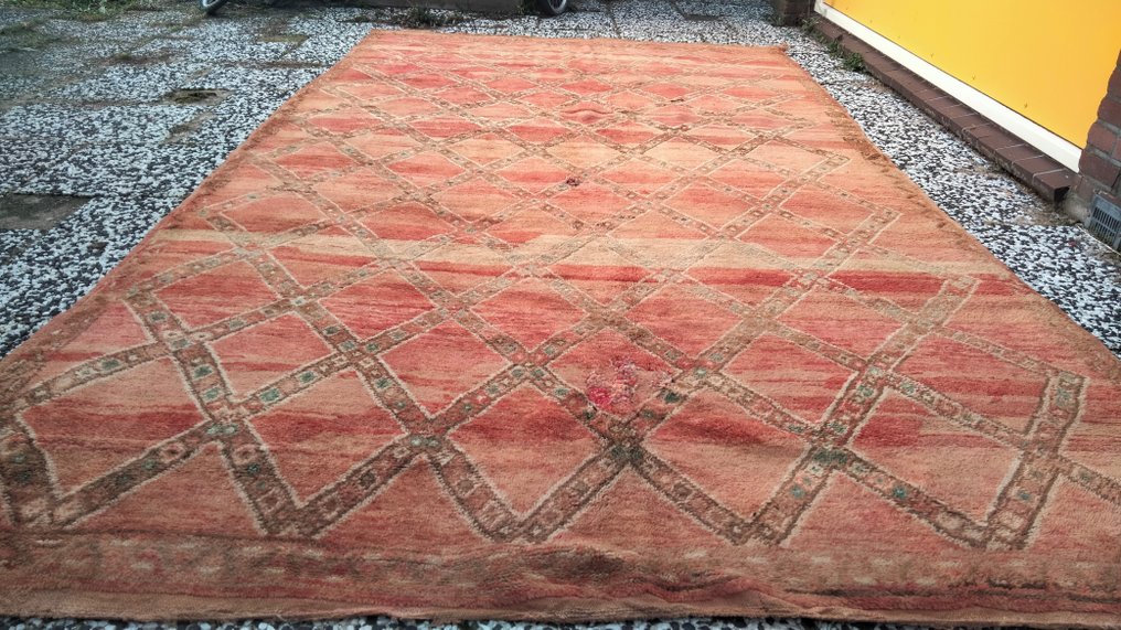 Berber - Carpet - 332 cm - 187 cm #1.1