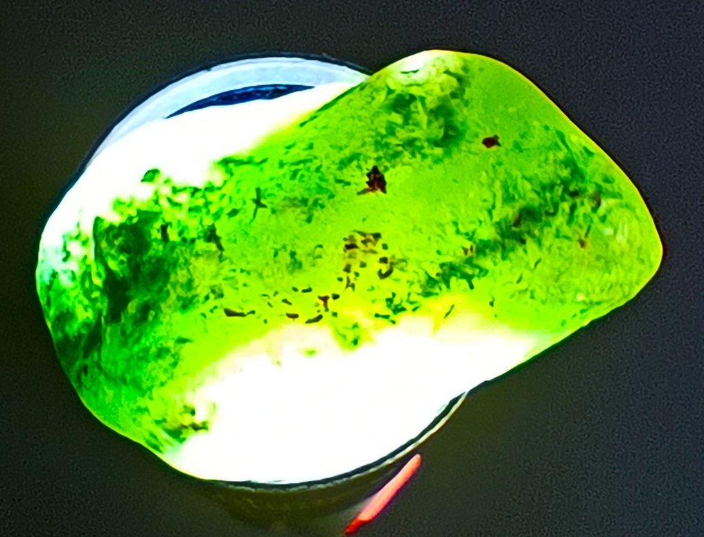 Smaralde columbiene (varietate verde de beril) Pietre prețioase aspre translucide - 83,50 ct. - Înălțime: 35 mm - Lățime: 28 mm- 16.7 g #2.2