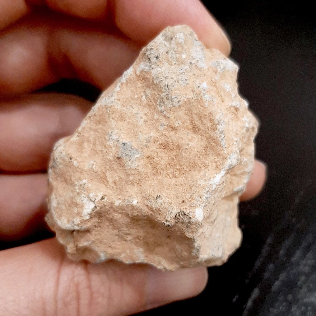 Lunar meteorite. Bechar 006. Rock from the Moon - 77.3 g #1.1