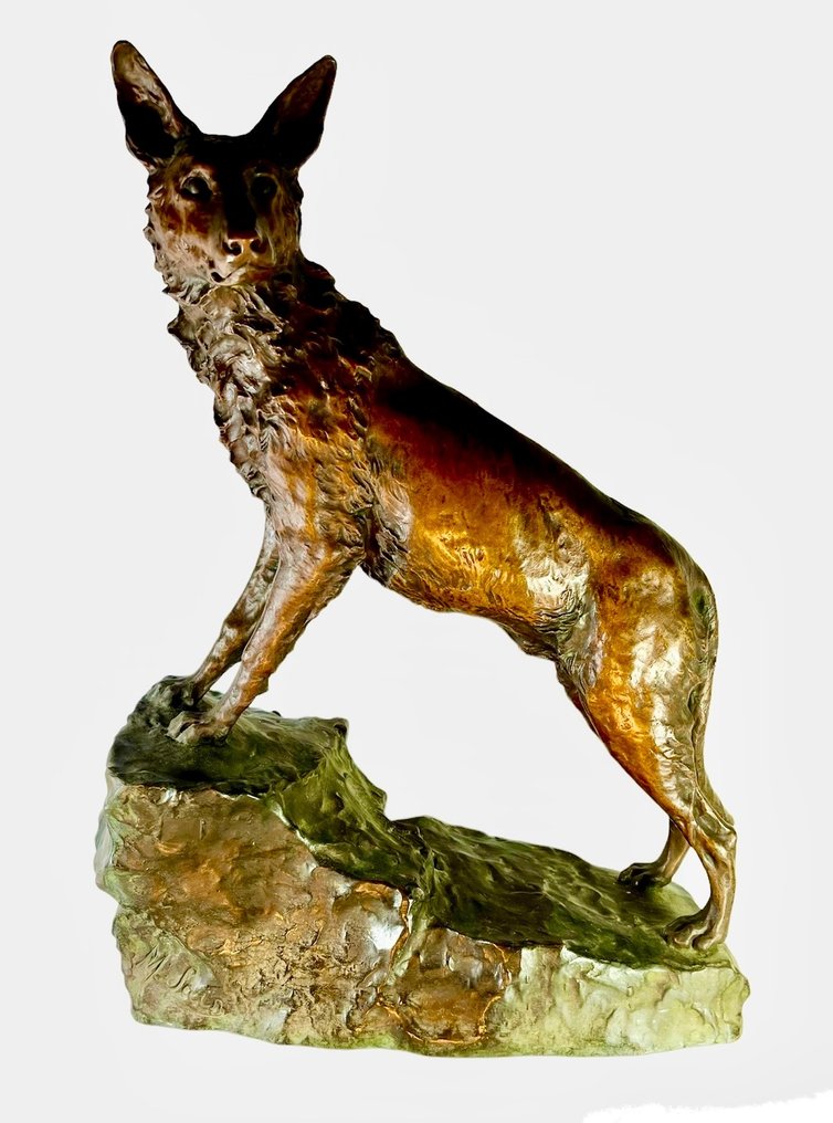 Susse Frères - Marius-Joseph Saïn (1877-1961) - Bust, grand  loup des montagnes - 55 cm - Patinated bronze #1.1