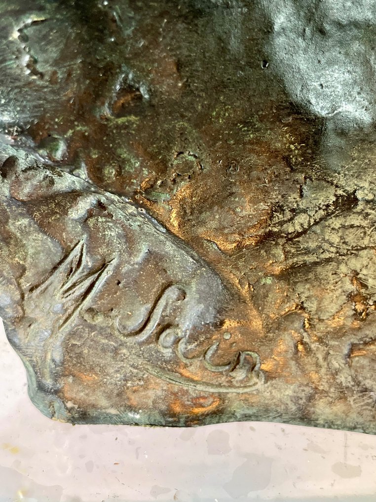Susse Frères - Marius-Joseph Saïn (1877-1961) - Bust, grand  loup des montagnes - 55 cm - Patinated bronze #2.1