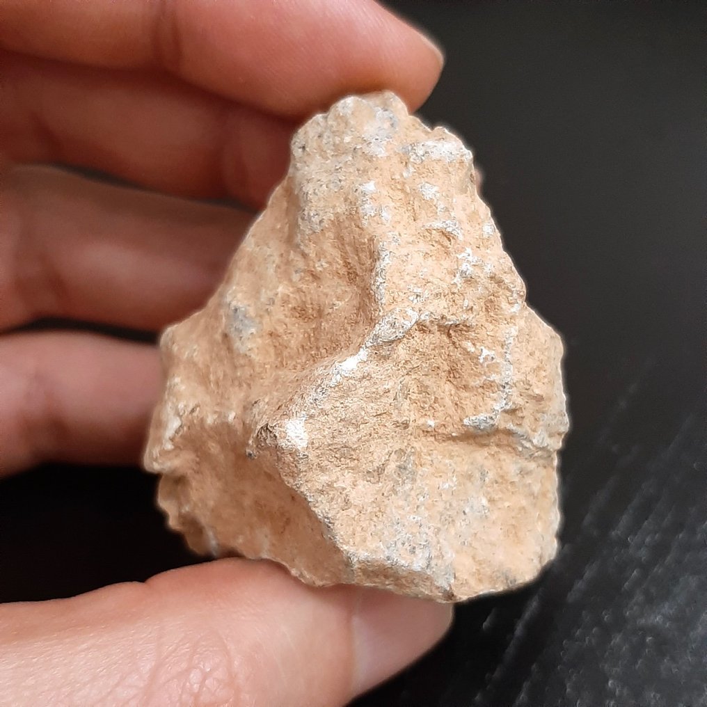 Lunar meteorite. Bechar 006. Rock from the Moon - 77.3 g #3.1