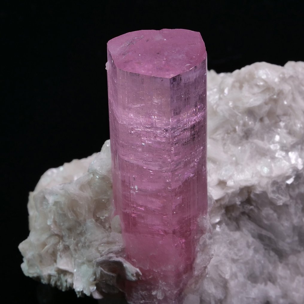Intensiv rosa turmalin förknippad med kvarts och muskovit kristall på matrisen - Höjd: 6.5 cm - Bredd: 6.5 cm- 145 g - (1) #1.1