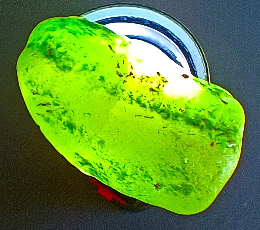 哥伦比亚祖母绿（绿柱石的绿色品种） 半透明宝石原石 - 83.50 克拉。 - 高度: 35 mm - 宽度: 28 mm- 16.7 g #1.1