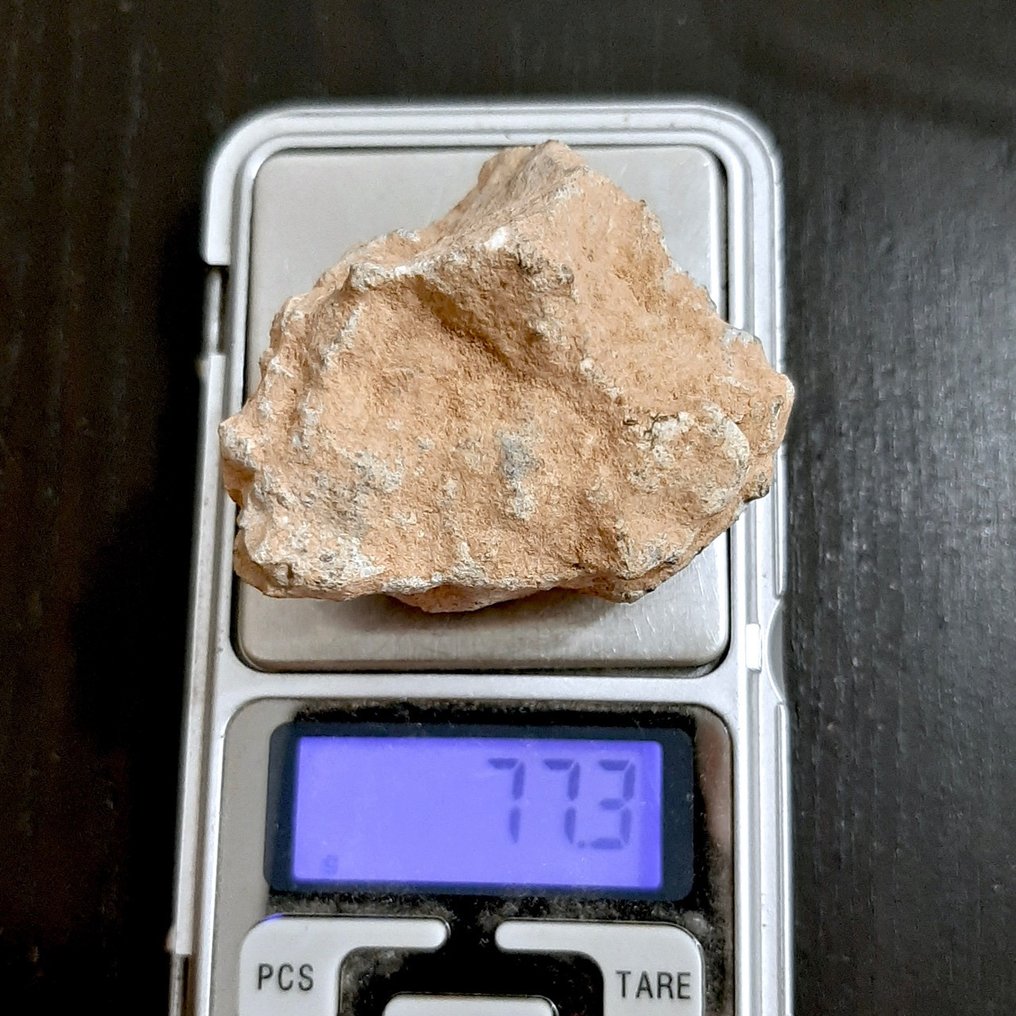 Lunar meteorite. Bechar 006. Rock from the Moon - 77.3 g #1.2