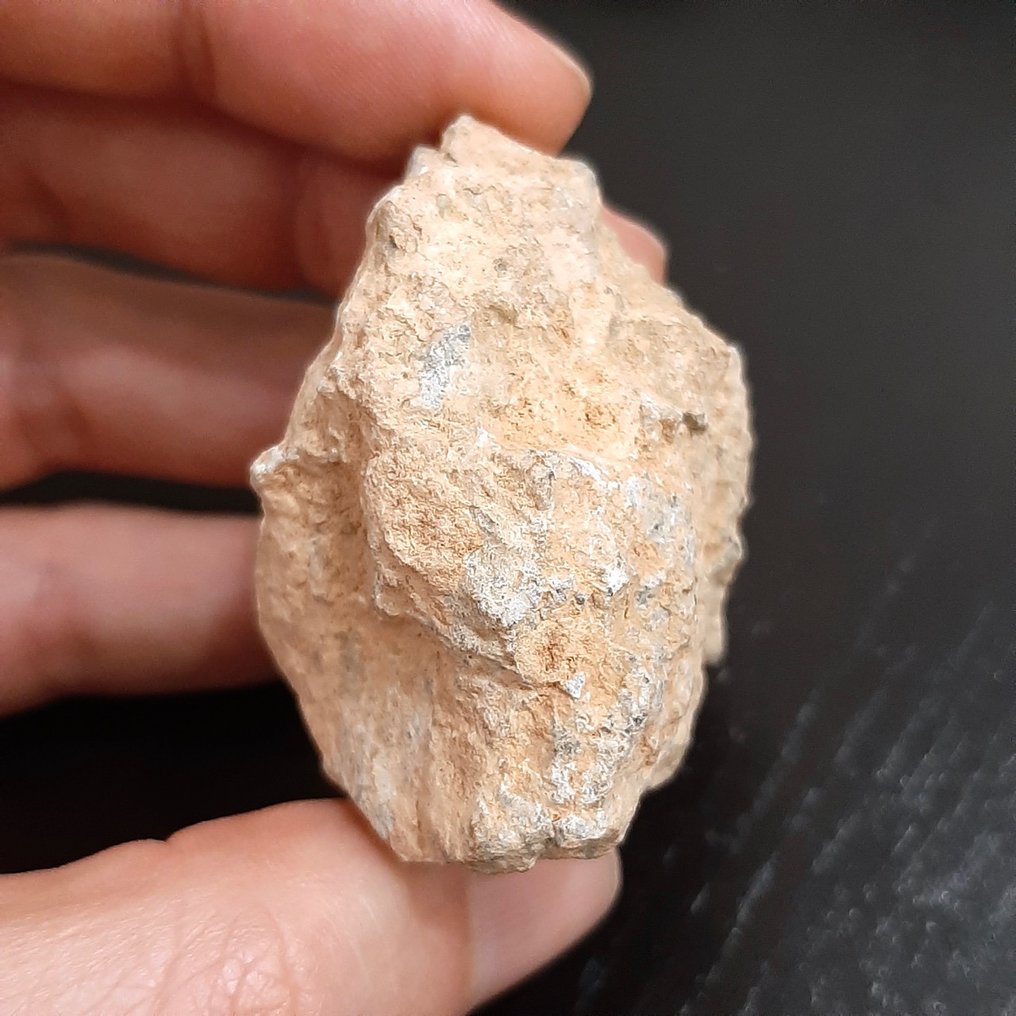 Lunar meteorite. Bechar 006. Rock from the Moon - 77.3 g #3.2