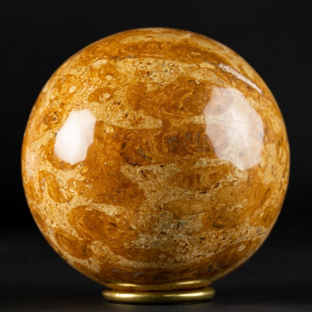 Een exclusief Jurassic Coral - Fossiel skelet - Large Fossil Coral Sphere - 86 mm - 86 mm #2.1