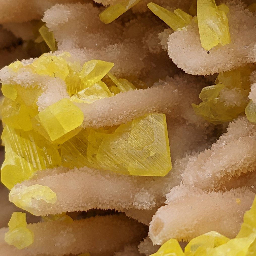 YELLOW SULFUR on WHITE ARAGONITE STALACTITES, 26cm - Italy! Crystals on Stalactites - Height: 26 cm - Width: 17 cm- 2.68 kg #1.2