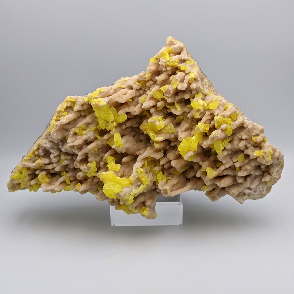 GULT SVOVL på HVID ARAGONIT STALAKTITTER, 26cm - Italien! Krystaller på drypsten - Højde: 26 cm - Bredde: 17 cm- 2.68 kg #1.1