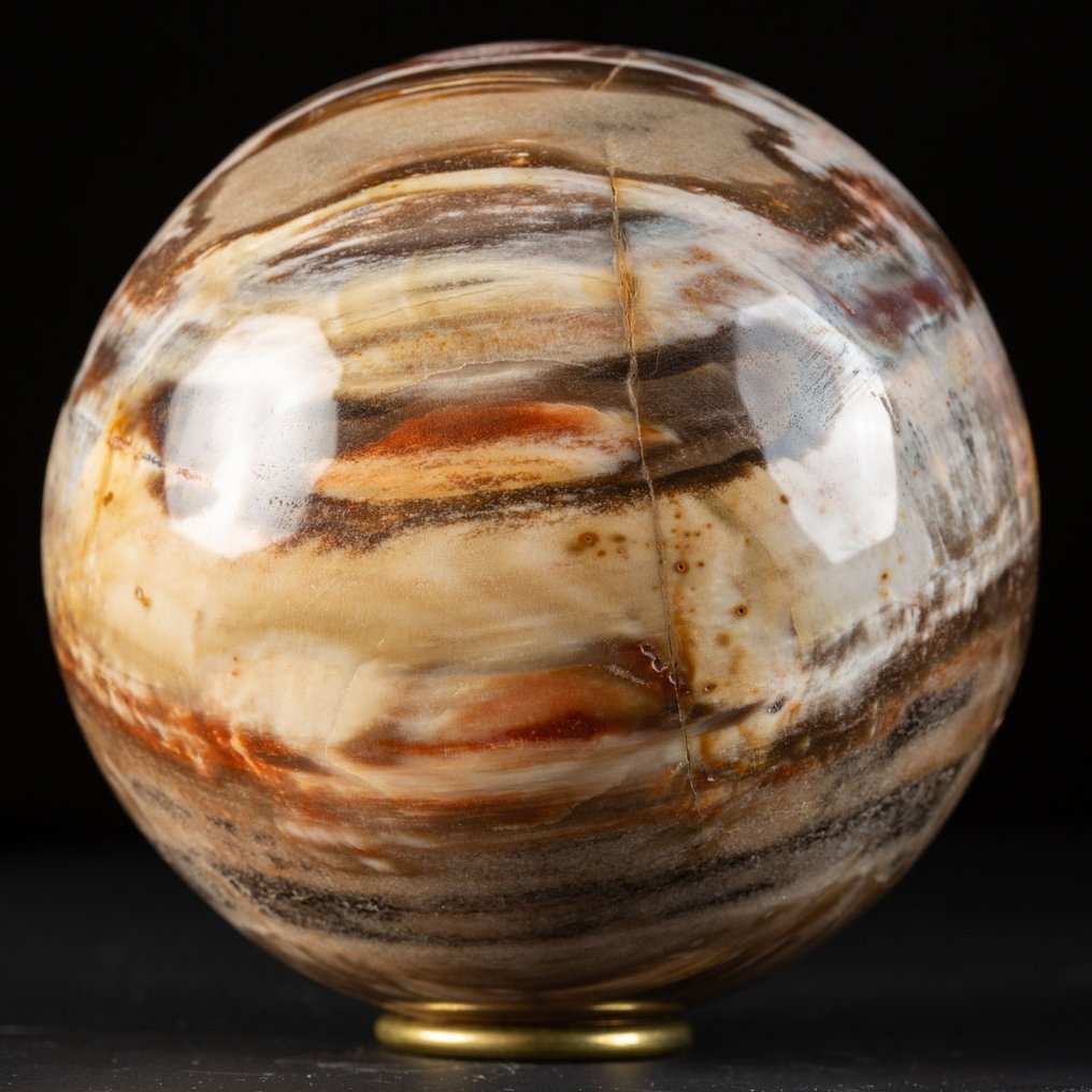 Polished Fossil Wood Sphere - Sfera in Legno Fossile - Frammento fossile - 113 mm - 113 mm #2.1