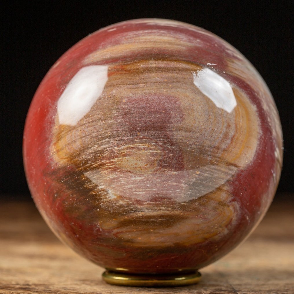 Polert Fossil Wood Sphere - Fossil Wood Sphere - Fossilt fragment - Agatized Conifera - 92 mm - 92 mm #1.2