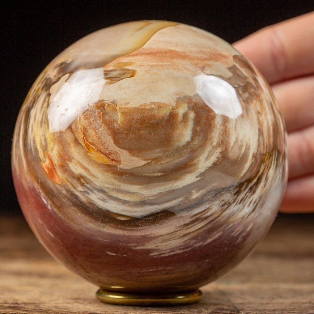 Polished Fossil Wood Sphere - Fossil Wood Sphere - Fossil fragment - Agatized Conifera - 92 mm - 92 mm #1.1