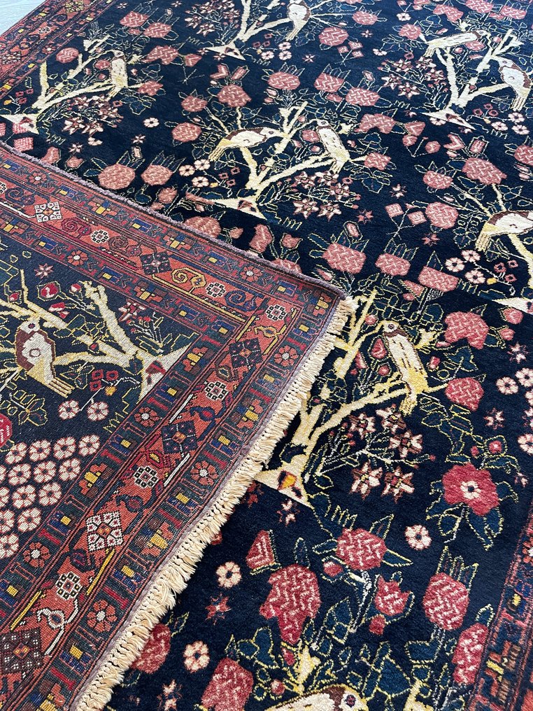 Afshar - Carpetă - 219 cm - 156 cm #2.1