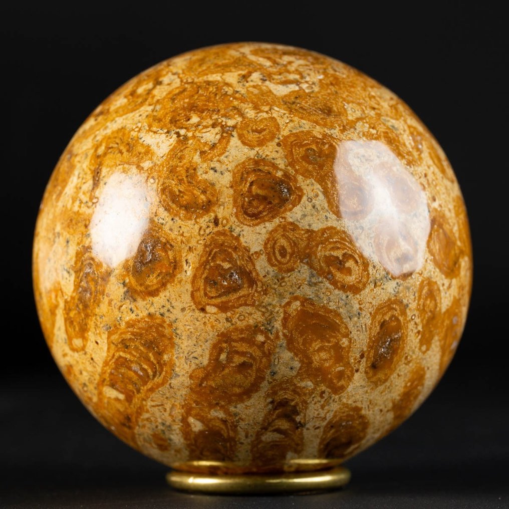 En eksklusiv Jurassic Coral - Fossilt skjelett - Large Fossil Coral Sphere - 86 mm - 86 mm #1.1