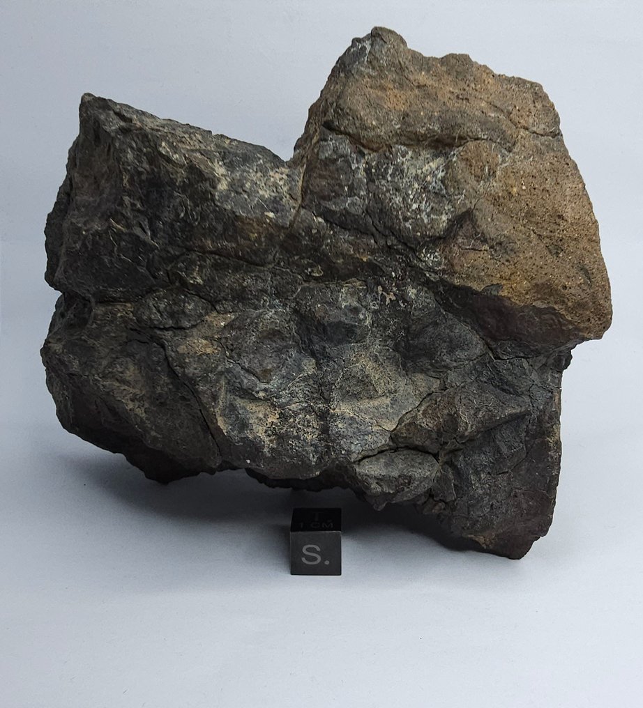 Széntartalmú meteorit CO3, NWA 16415. Főmise. - 1395 g - (1) #2.1