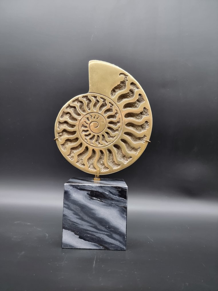 雕塑, Bronze Ammonite Cast - 30 cm - 黄铜色, 大理石 #2.1