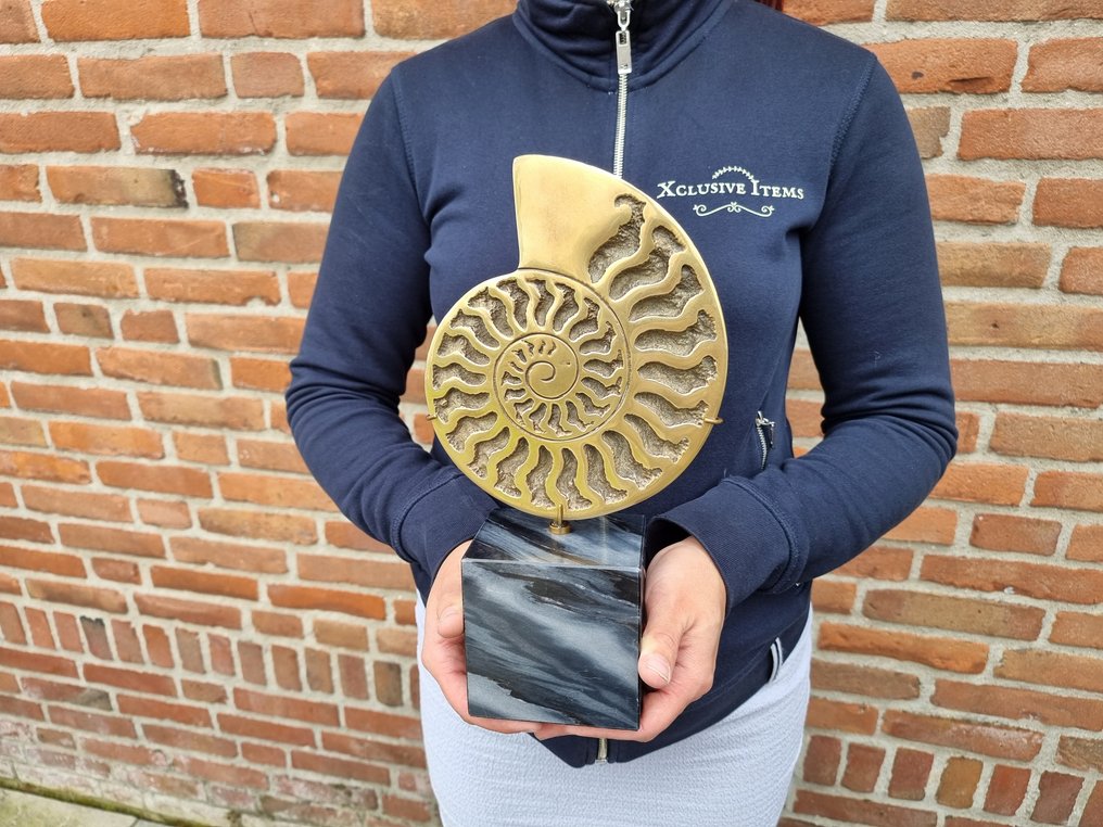 雕塑, Bronze Ammonite Cast - 30 cm - 黄铜色, 大理石 #1.0