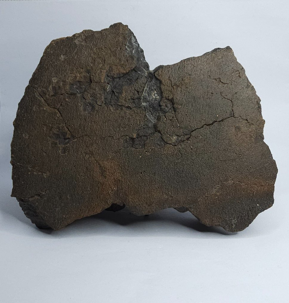Széntartalmú meteorit CO3, NWA 16415. Főmise. - 1395 g - (1) #1.1