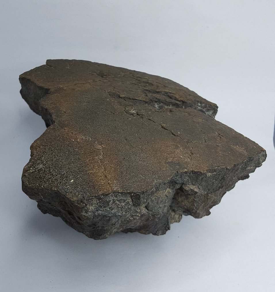 Széntartalmú meteorit CO3, NWA 16415. Főmise. - 1395 g - (1) #1.2