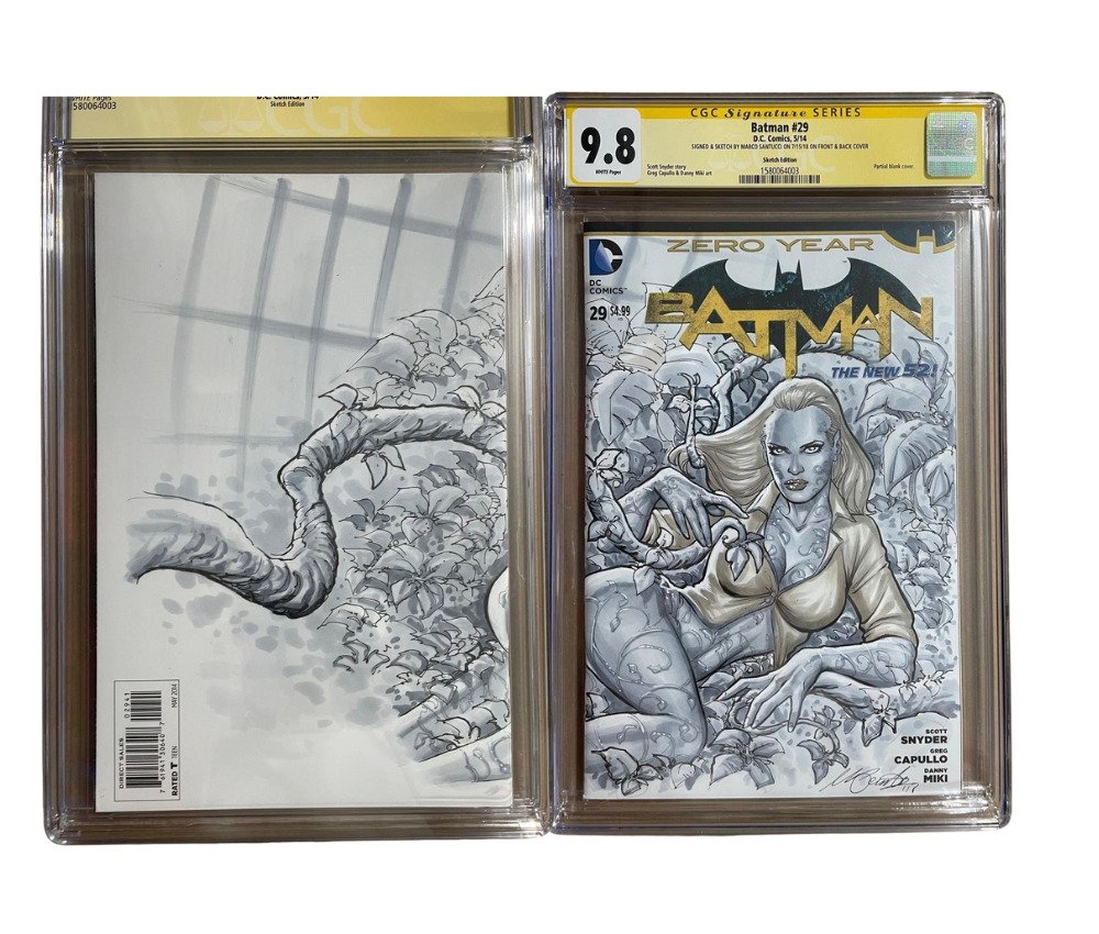 Batman #29 - Signed & Sketched on Front and Back Cover by Marco Santucci - CGC Signature Series - 1 Graded comic - 2014 - CGC 9.8 #1.1