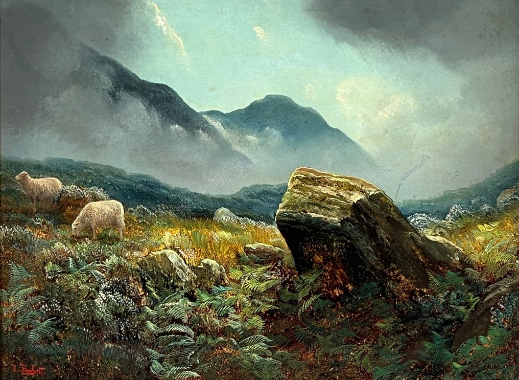 Thomas Finchett. (1858-1931) - Sheep on the side of Menydd Denbyn, North Wales #1.1