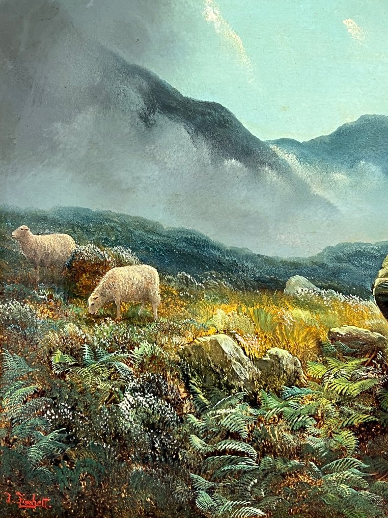Thomas Finchett. (1858-1931) - Sheep on the side of Menydd Denbyn, North Wales #2.1