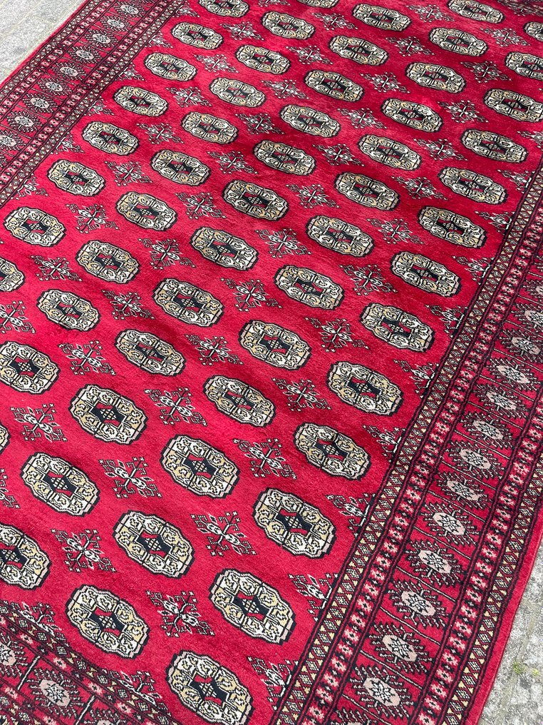 Torkaman Tekke - Carpete - 250 cm - 168 cm #2.1