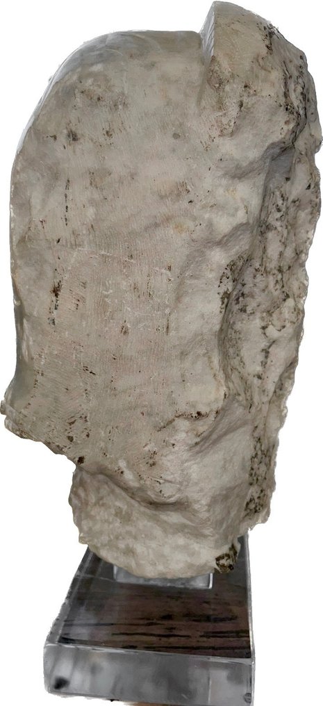 Reliëf, Testa con elmo di guerriero, Italia, primi anni del '900 - 30 cm - Carrara marmer #2.1