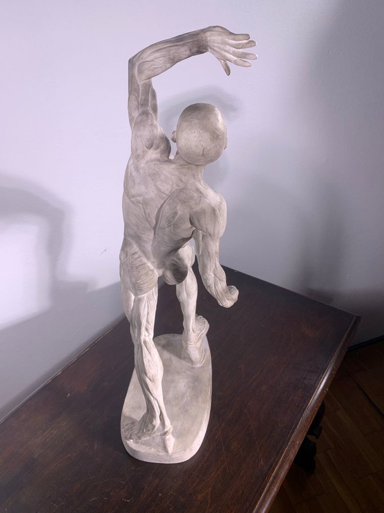 Eugène Jacques Caudron (1818-1865) - Skulptur, Scultura anatomica "uomo scorticato" - 75 cm - Gips #1.2