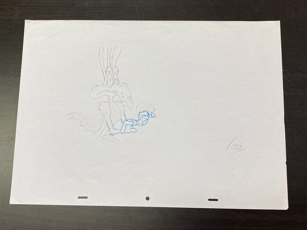 Looney Tunes (ca. 1980's) - 1 Original drawing of Coyote - 43x28 cm (big size) #2.1