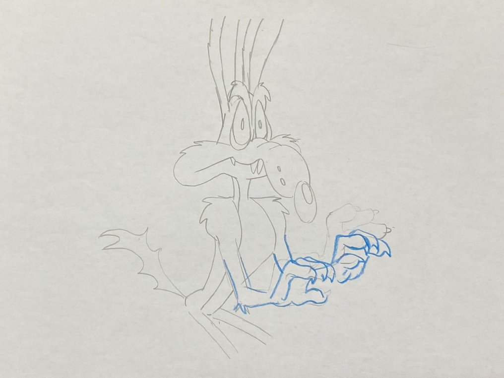 Looney Tunes (ca. 1980's) - 1 Original drawing of Coyote - 43x28 cm (big size) #3.1