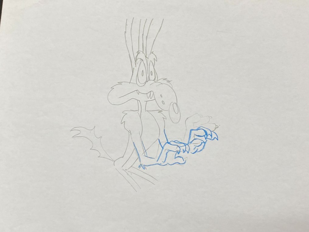 Looney Tunes (ca. 1980's) - 1 Original drawing of Coyote - 43x28 cm (big size) #2.2