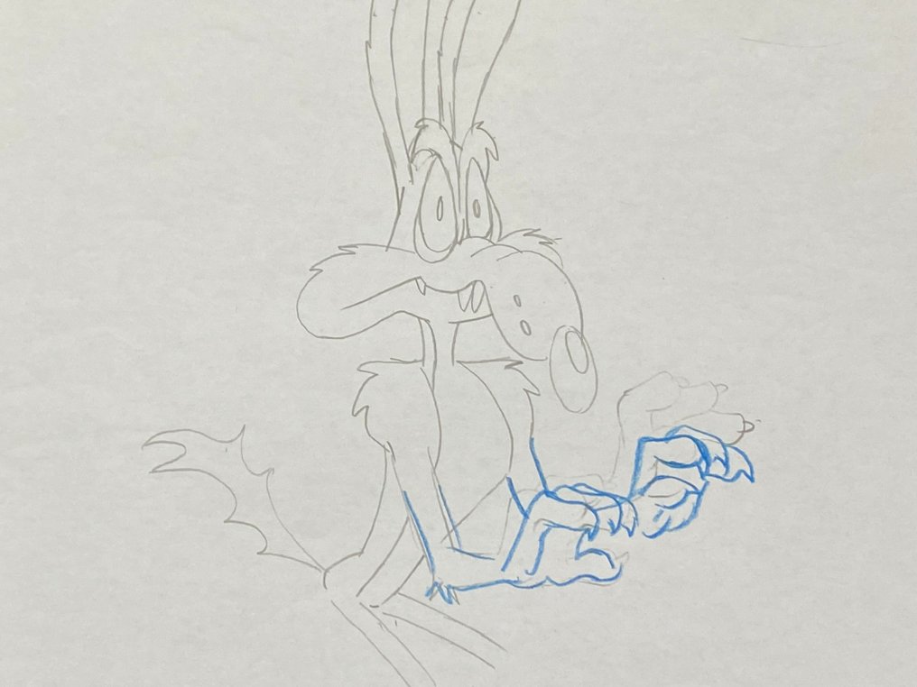 Looney Tunes (ca. 1980's) - 1 Original drawing of Coyote - 43x28 cm (big size) #1.1
