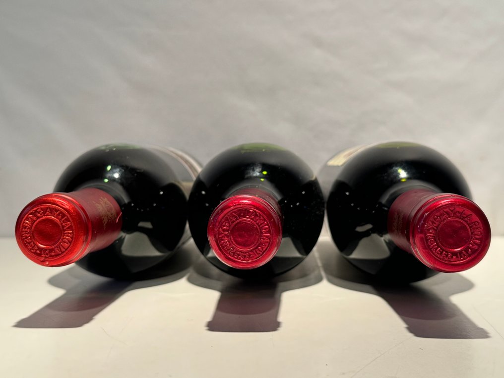 Marqués de Murrieta, Castillo Ygay;  1970 & 1987 & 1989 - Rioja Gran Reserva Especial - 3 Flasker (0,75 L) #3.1