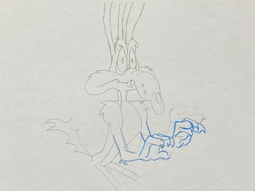 Looney Tunes (ca. 1980's) - 1 Original drawing of Coyote - 43x28 cm (big size) #3.2